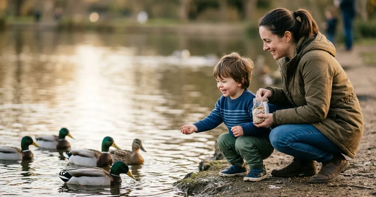 Left, Right, up, Down in English for Kids | LearnLink Blog